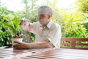 A happy and smiling Asian old elderly man is planting for a hobby after retirement in a home. Concept of a happy lifestyle and