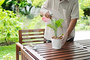 A happy and smiling Asian old elderly man is planting for a hobby after retirement in a home. Concept of a happy lifestyle and