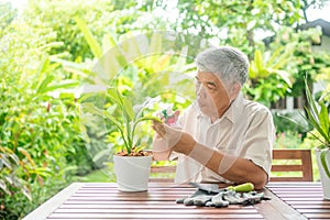 A happy and smiling Asian old elderly man is planting for a hobby after retirement in a home. Concept of a happy lifestyle and