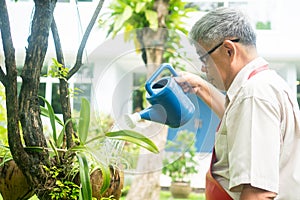 A happy and smiling Asian old elderly man is watering plants and flowers for a hobby after retirement in a home. Concept of a