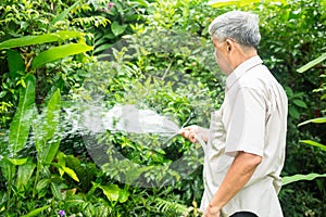 A happy and smiling Asian old elderly man is watering plants and flowers for a hobby after retirement in a home. Concept of a