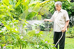 A happy and smiling Asian old elderly man is watering plants and flowers for a hobby after retirement in a home. Concept of a