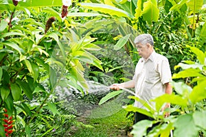 A happy and smiling Asian old elderly man is watering plants and flowers for a hobby after retirement in a home. Concept of a