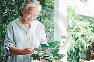 A happy and smiling Asian old elderly woman is planting for a hobby after retirement in a home. Concept of a happy lifestyle and