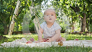 Happy smiling baby boy playing with apples at backyard garden. Concept of child development, parenting and healthy