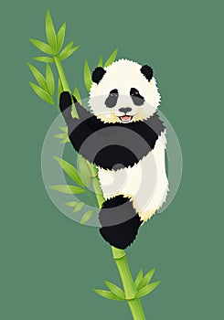 Happy smiling baby giant panda climbing green bamboo tree. Black and white chinese bear cub.