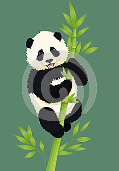 Happy smiling baby giant panda climbing green bamboo tree. Black and white chinese bear cub.