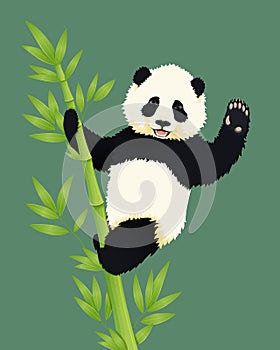 Happy smiling baby giant panda climbing green bamboo tree and waving. Black and white chinese bear cub.