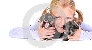Happy smiling blond little girl with two schnauzer puppies close up portrait isolated on white background.