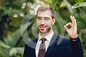 Happy smiling businessman in suit and tie showing okay sign in orangery.