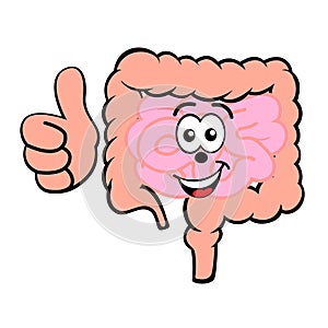 Happy smiling cartoon small and large intestines vector icon