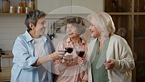 Happy smiling elderly female friends toasting celebrating friendship day