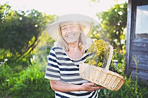 Happy smiling elderly senior woman in straw hat having fun posing in summer garden with flowers in basket. Farming, gardening,