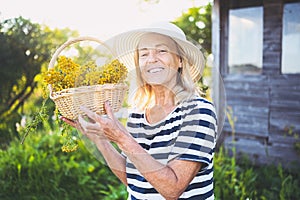 Happy smiling elderly senior woman in straw hat having fun posing in summer garden with flowers in basket. Farming, gardening,