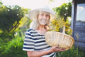 Happy smiling elderly senior woman in straw hat having fun posing in summer garden with flowers in basket. Farming, gardening,