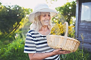 Happy smiling elderly senior woman in straw hat having fun posing in summer garden with flowers in basket. Farming, gardening,