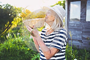 Happy smiling elderly senior woman in straw hat having fun posing in summer garden with flowers in basket. Farming, gardening,