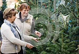 Happy smiling elderly women selecting spruce