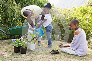 Happy smiling family plant a flowers together