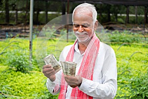 Happy Smiling Indian farmer counting Currency notes inside the greenhouse or polyhouse - concept of profit or made made money from