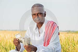 Happy smiling Indian farmer counting money on agriculture field while looking camera - concept of good or bumper crop harvest,