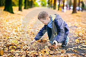 Happy smiling little boy playing with leaves