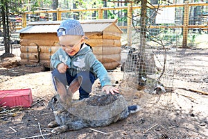 Happy and smiling little boy stroking a rabbit