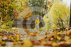 happy smiling little boy in yellow jacket run in autumn central park in Saint-petersburg, Russia on sunny october day