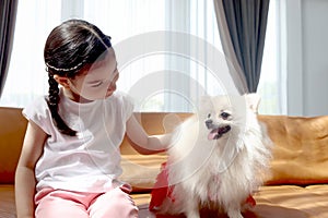 Happy smiling little cute girl playing with her fluffy white Pomeranian dog while sitting on the sofa in the living room. Kid with