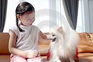 Happy smiling little cute girl playing with her fluffy white Pomeranian dog while sitting on the sofa in the living room. Kid with