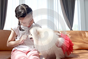 Happy smiling little cute girl playing with her fluffy white Pomeranian dog while sitting on the sofa in the living room. Kid with