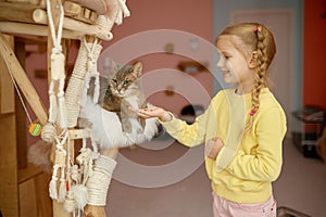 Happy smiling little girl child feeding cat in animal shelter