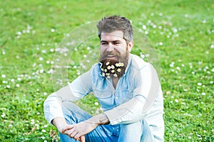 Happy smiling man with daisy or chamomile flowers in beard sitting on green grass meadow. Attractive confident man