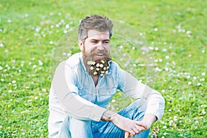 Happy smiling man with daisy or chamomile flowers in beard sitting on green grass meadow. Attractive confident man