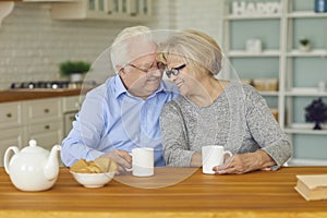 Happy smiling mature couple enjoying hot tea while spending time together at home