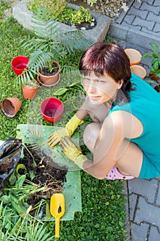 Happy smiling middle age woman gardening