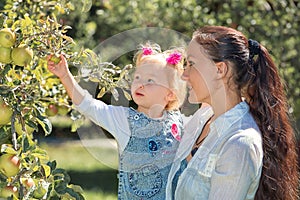 Happy smiling mom with a daughter child walking in garden and a dandelion flower is blowing merrily on a sunny summer