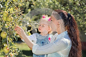 Happy smiling mom with a daughter child walking in garden and a dandelion flower is blowing merrily on a sunny summer