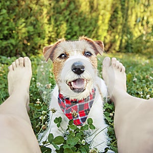 Happy smiling pet dog relaxing with his owner in the grass