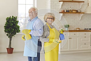 Happy smiling senior couple standing back to back in the kitchen after cleaning their house