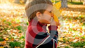 Happy smiling toddler boy holding yellow fallen autumn leaf at park