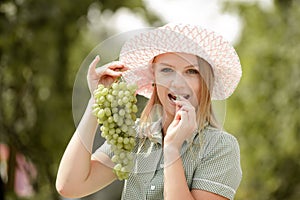 Happy smiling young woman picking bunches of grapes in a winery vineyard during harvesting in summer crouching down to