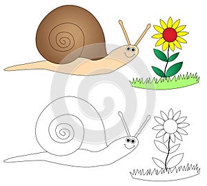 Feliz caracol flor 