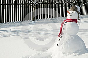 Contento pupazzo di neve 