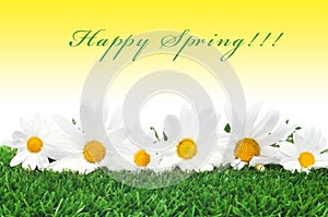 Happy spring