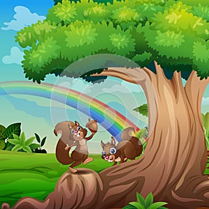 Happy squirrels cartoon playing under the tree