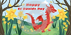 Happy St Davids Day Banner - Illustration with Red Dragon And Yellow Daffodils