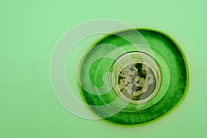 Happy St Patrick`s Day concept. Glass of green beer and party hat in green background. Greeting card. Top view.