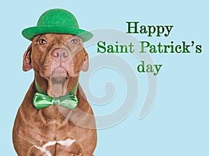 Happy St. Patrick& x27;s Day. Lovable, pretty puppy