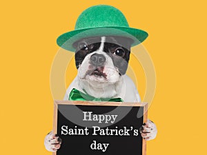 Happy St. Patrick's Day. Lovable, pretty puppy